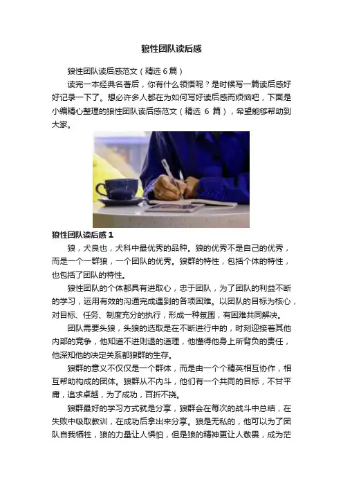 狼性团队读后感
