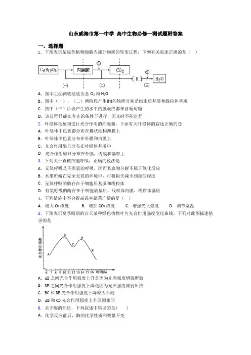 山东威海市第一中学 高中生物必修一测试题附答案