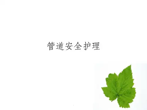 管道的安全护理ppt课件