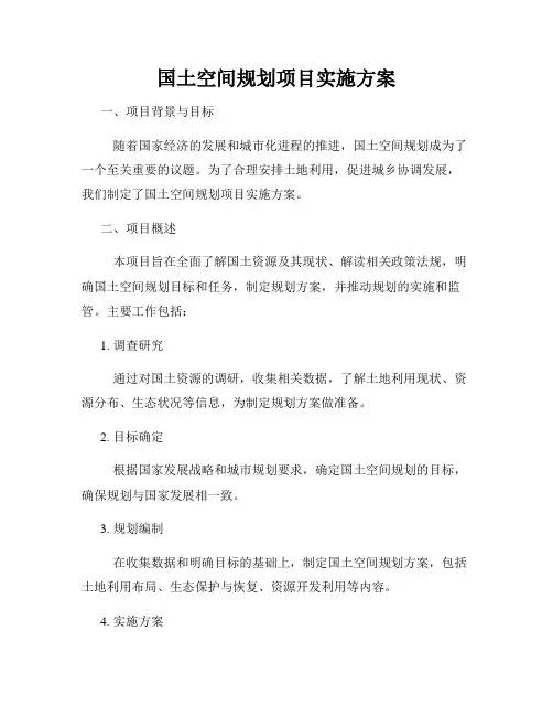 国土空间规划项目实施方案