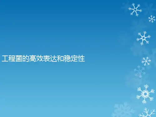 工程菌的高效表达及稳定性
