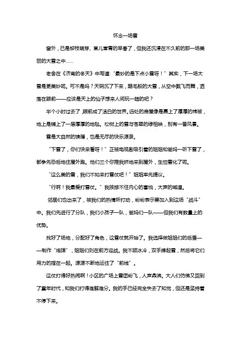 怀念一场雪