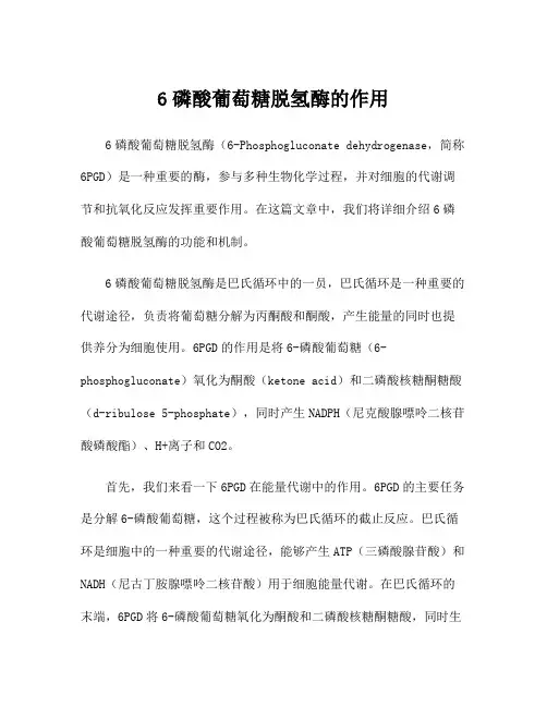 6磷酸葡萄糖脱氢酶的作用