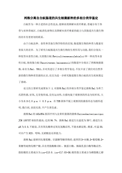 两株分离自白蚁肠道的共生细菌新种的多相分类学鉴定