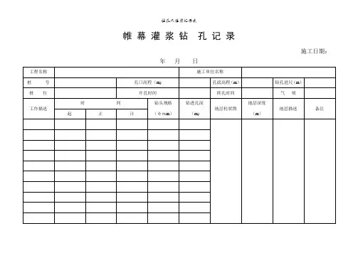钻孔及灌浆记录表