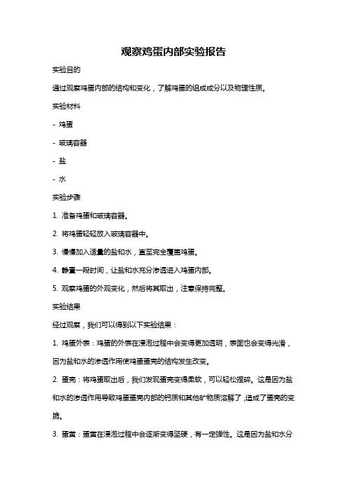 观察鸡蛋内部实验报告