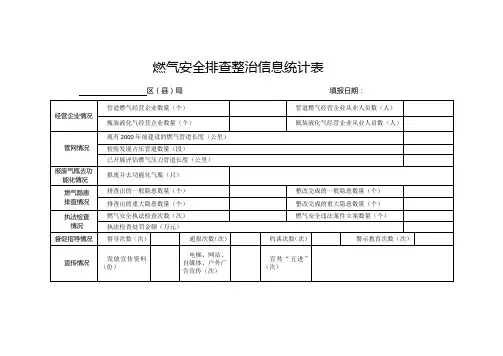 燃气安全排查整治信息统计表