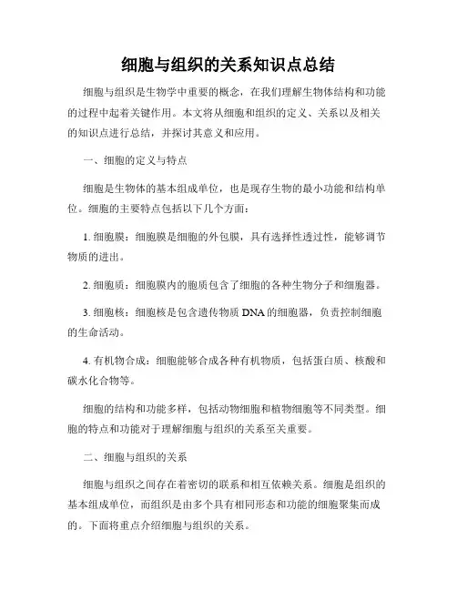 细胞与组织的关系知识点总结
