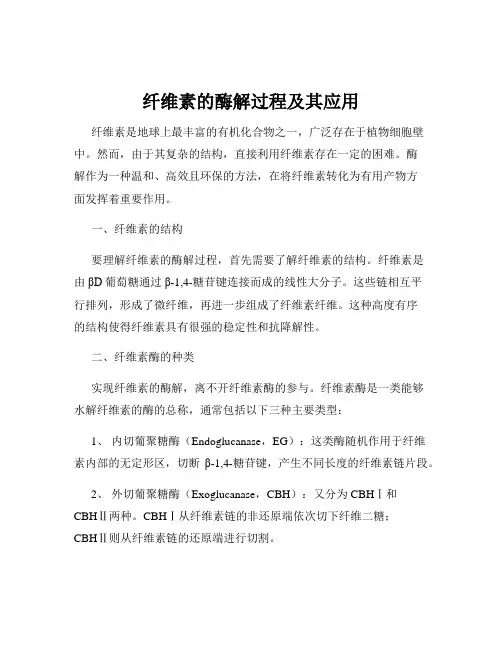 纤维素的酶解过程及其应用