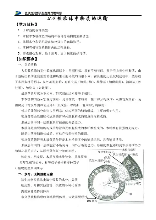 3.4植物体中物质的运输