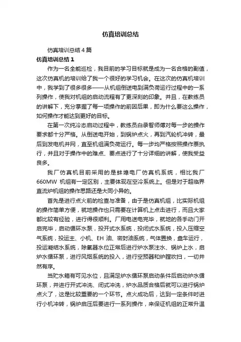 仿真培训总结4篇
