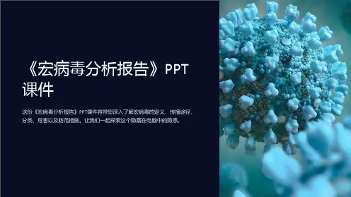 《宏病毒分析报告》课件