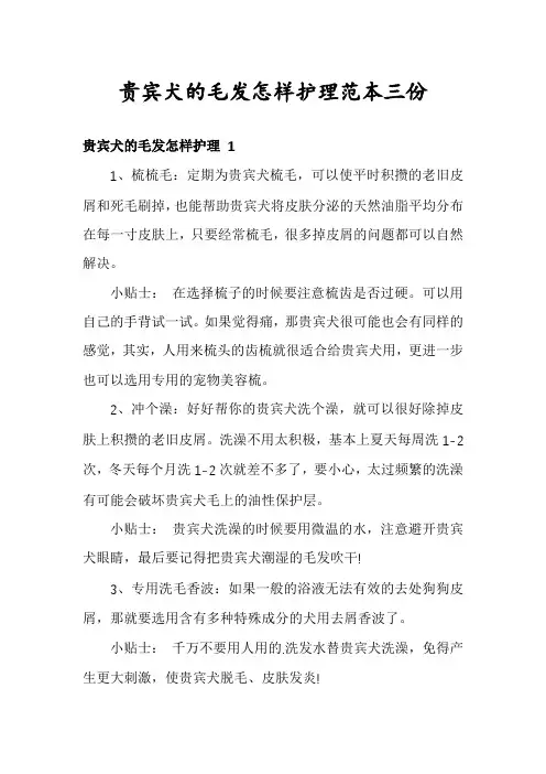 贵宾犬的毛发怎样护理范本三份