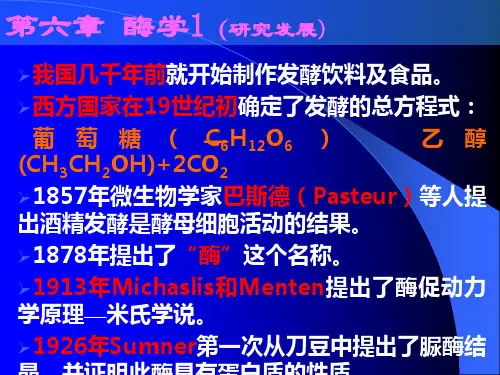 天津大学生物化学06第六章课件酶学.ppt