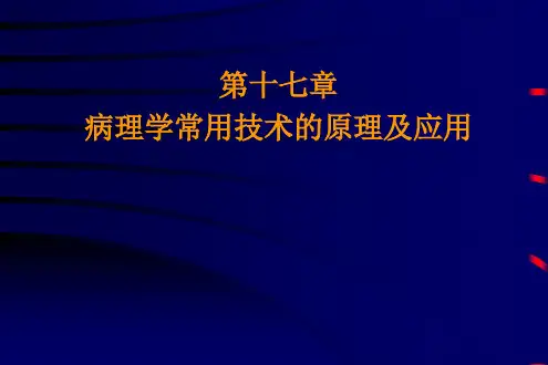 病理学常用技术的原理及应用_病理学课件