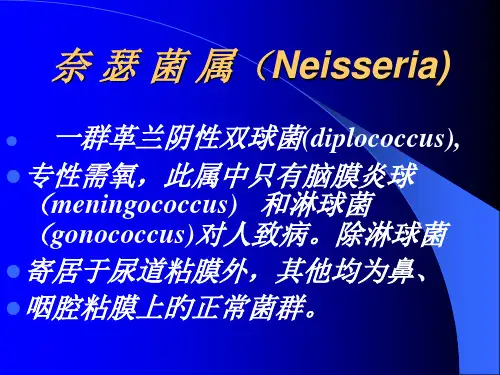 奈-瑟-菌-属(Neisseria)
