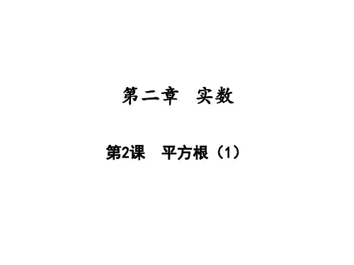 平方根北师大版八年级数学上册作业本优质PPT