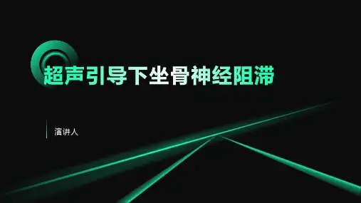 超声引导下坐骨神经阻滞