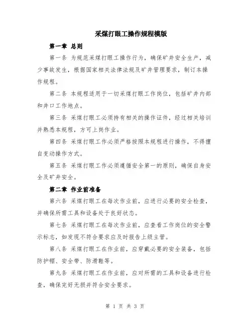 采煤打眼工操作规程模版