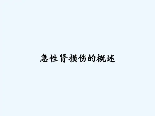 急性肾损伤的概述ppt