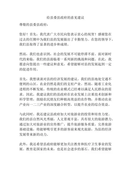 给县委县政府的意见建议