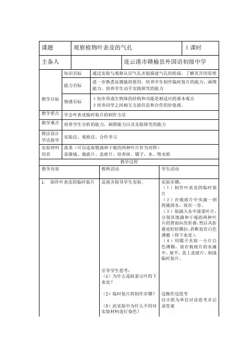 观察植物叶表皮的气孔