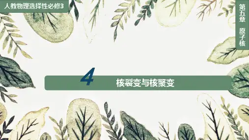 5.4核裂变与核聚变