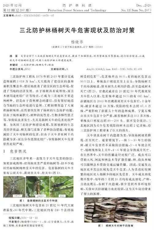 三北防护林杨树天牛危害现状及防治对策