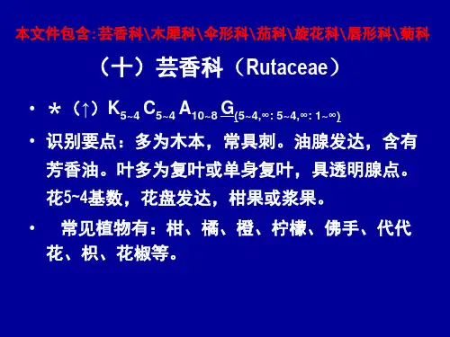 第十一章  分类分科双3