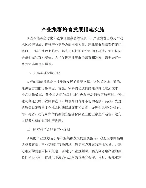 产业集群培育发展措施实施