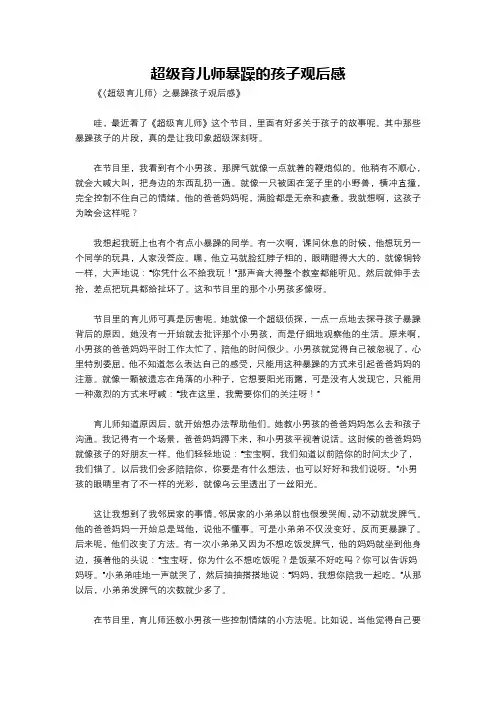 超级育儿师暴躁的孩子观后感