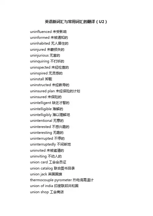 英语新词汇与常用词汇的翻译（U2）