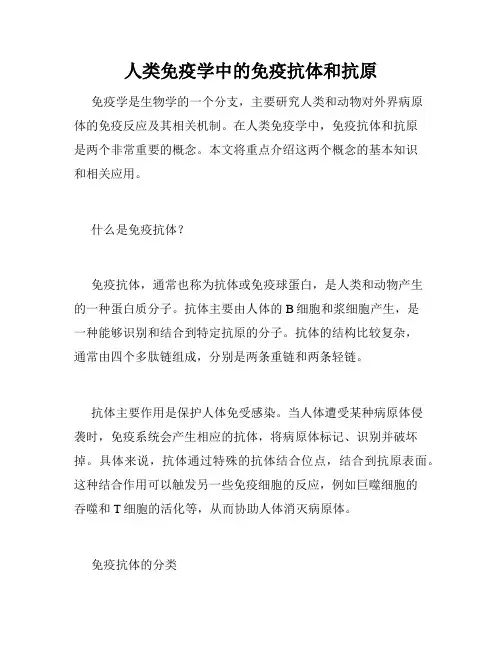 人类免疫学中的免疫抗体和抗原