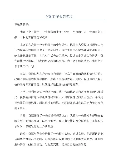 个案工作报告范文