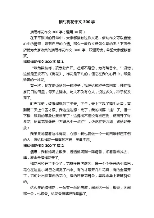 描写梅花作文300字