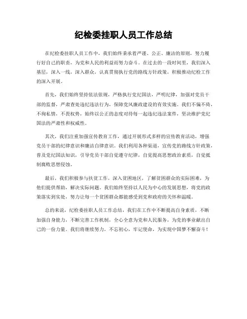 纪检委挂职人员工作总结
