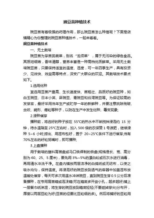 豌豆苗种植技术