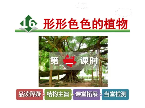 最新冀教版小学语文四年级上册16.形形色色的植物【第2课时】ppt优质公开课课件