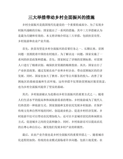 三大举措带动乡村全面振兴的措施