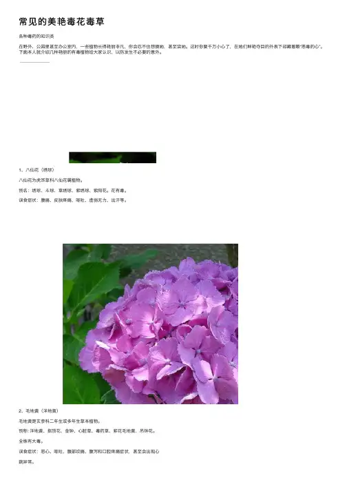 常见的美艳毒花毒草