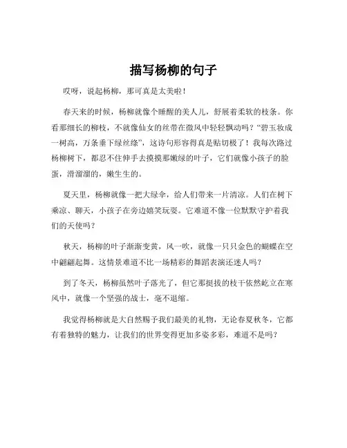 描写杨柳的句子