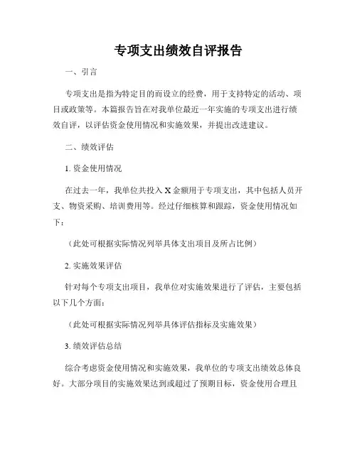 专项支出绩效自评报告