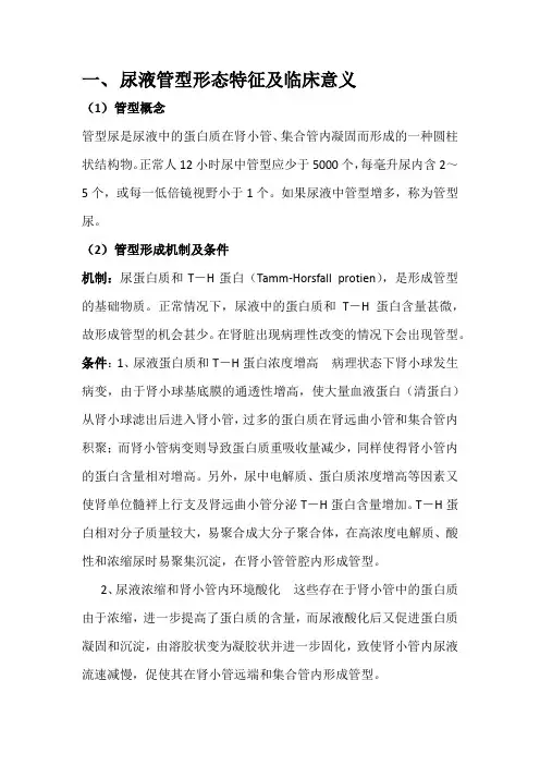 尿液管型形态特征及临床意义-060814