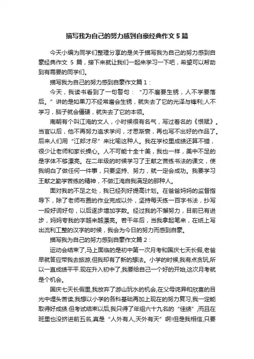 描写我为自己的努力感到自豪经典作文5篇