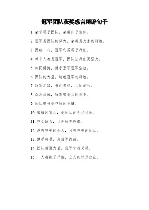 冠军团队获奖感言精辟句子