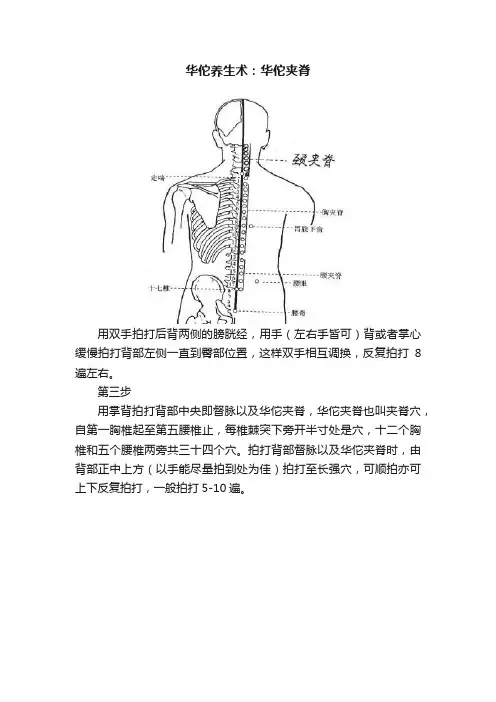 华佗养生术：华佗夹脊