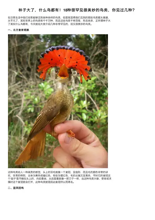 林子大了，什么鸟都有！18种很罕见很美妙的鸟类，你见过几种？