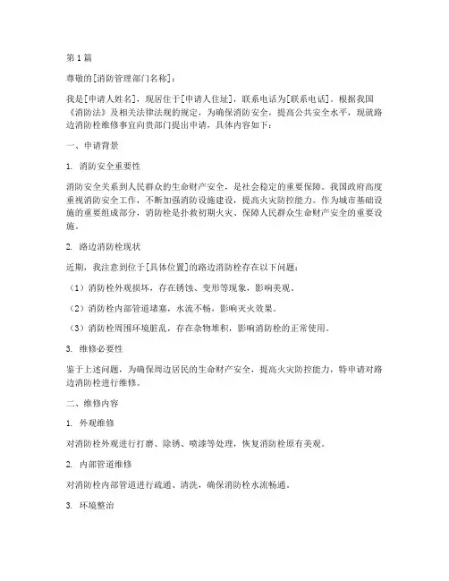 路边消防栓维修申请书模板(3篇)