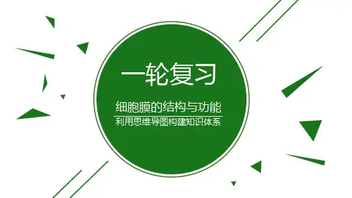高考一轮复习《细胞膜的结构与功能》  课件(共36张PPT)