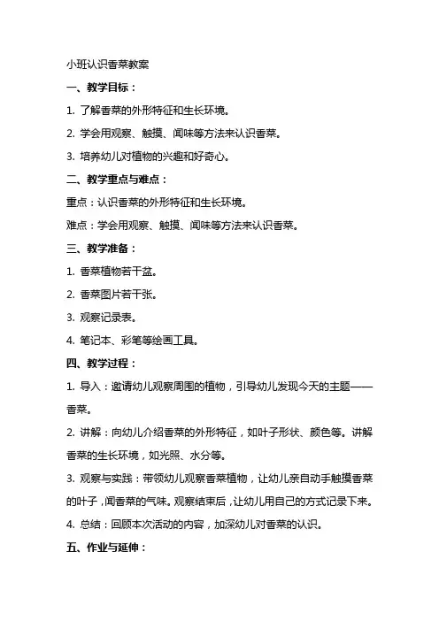 小班认识香菜教案